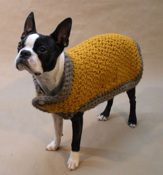 the warm dog coat from beantown handmade dog clothing VIDEO: Η απίστευτη ιστορία του Bean, του σκύλου μοντέλο!!!