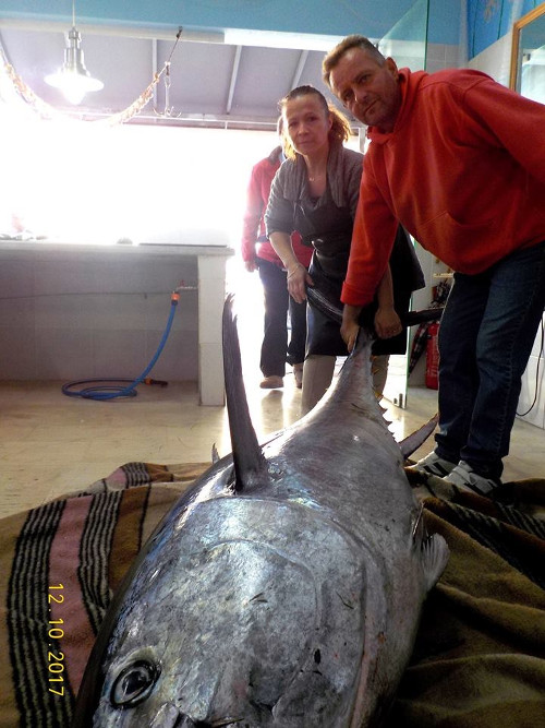 tonos3ok | Lamianow.gr