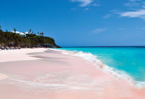 Ροζ αμμουδιά στις Μπαχάμες 