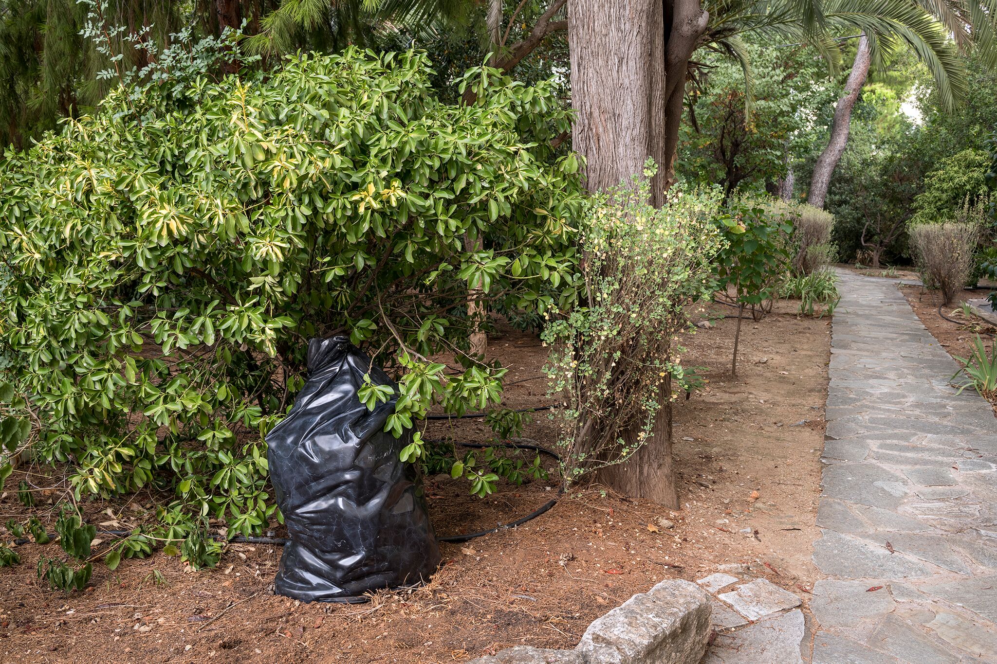Εντυπωσιάζει η μαρμάρινη σακούλα σκουπιδιών