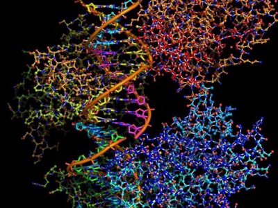 Τεχνολογίες αποθήκευσης δεδομένων στο ανθρώπινο DNA