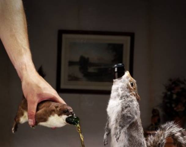 Αυτές είναι οι πέντε ακριβότερες μπύρες του κόσμου από συνταγές της Νεφερτίτης και πάγο Ανταρκτικής [εικόνες] | iefimerida.gr 3