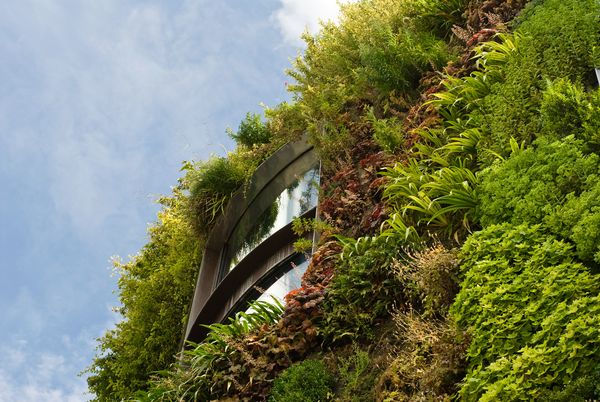 «Πράσινα» κτίρια δίνουν λύση στην περιβαλλοντική μόλυνση των αστικών κέντρων [εικόνες] | iefimerida.gr 2