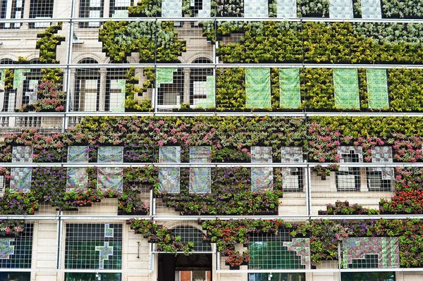 «Πράσινα» κτίρια δίνουν λύση στην περιβαλλοντική μόλυνση των αστικών κέντρων [εικόνες] | iefimerida.gr 5