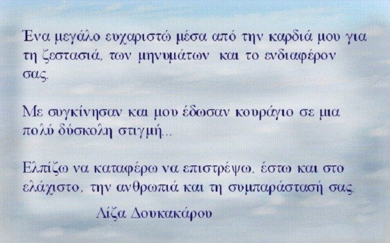 To ευχαριστώ της Λίζας Δουκακάρου στο Facebook για όσους της συμπαραστάθηκαν  | iefimerida.gr 0