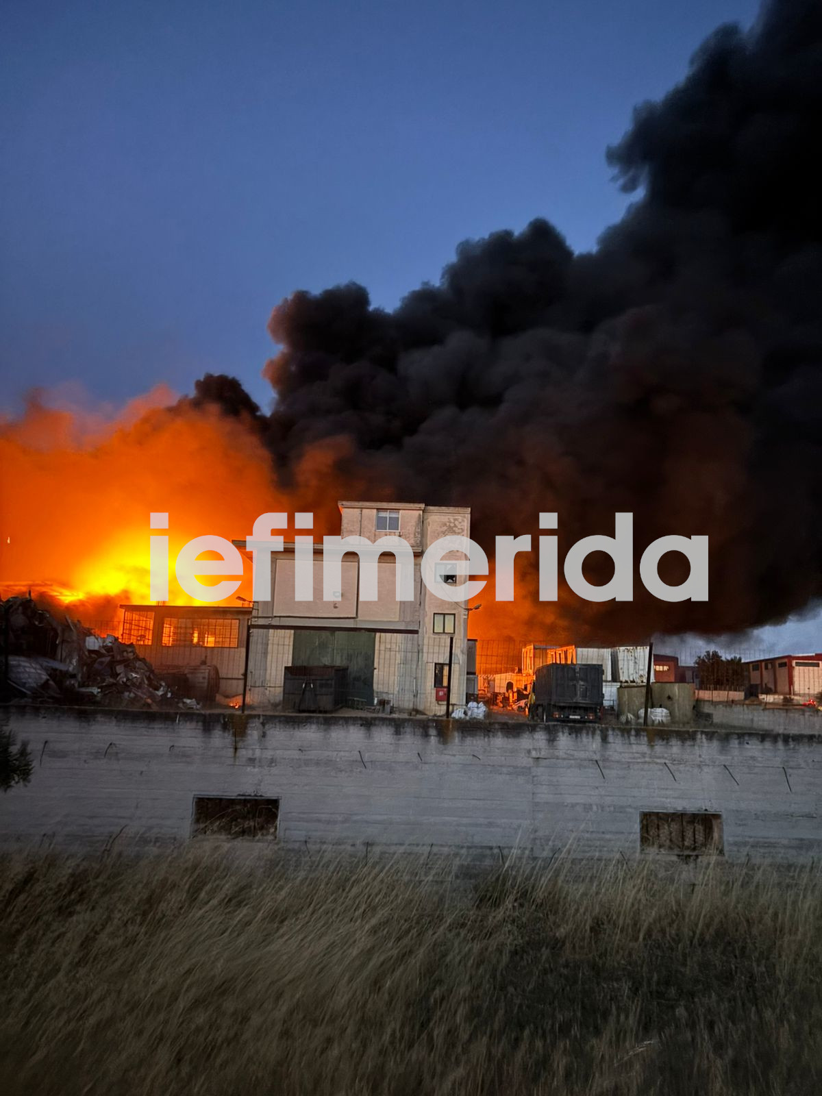 This image has an empty alt attribute; its file name is fotia-megara-plastika.jpg