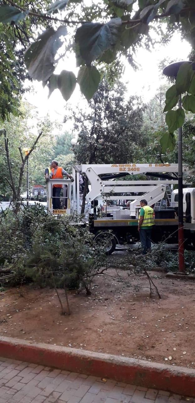 εργατες πάνω σε φορτηγο 