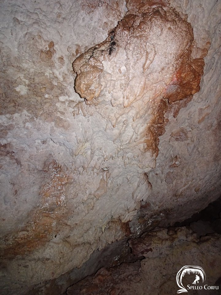 Î ÎµÏÏÏÎ¼Î±ÏÎ± ÏÎµ ÏÏÎ®Î»Î±Î¹Î¿ 