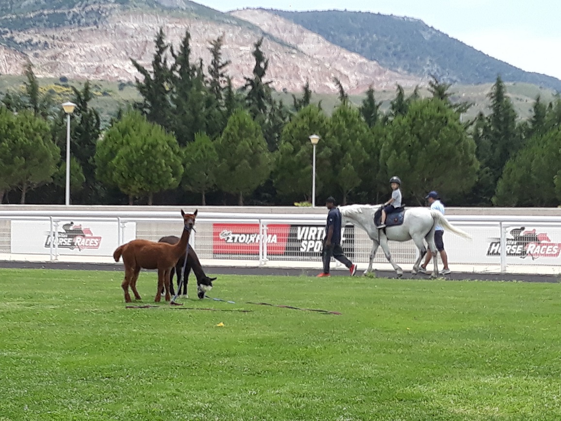 Τα παιδιά διασκεδάζουν κάθε Κυριακή στο Markopoulo Park