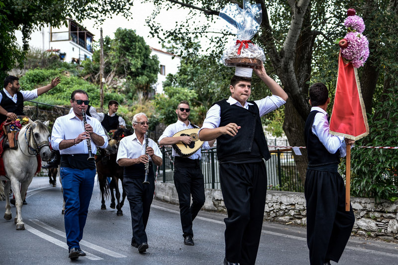 οργανα