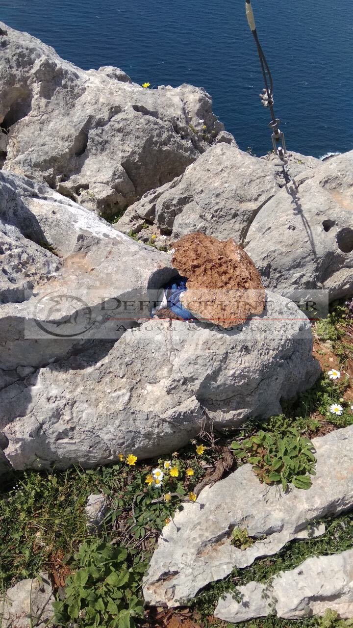 Βράχοι, λουλούδια, ελληνική σημαία κάτω από πέτρα 