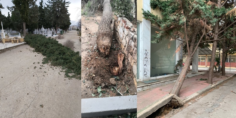 Θυελλώδεις άνεμοι και καταστροφές στην Αλεξανδρούπολη