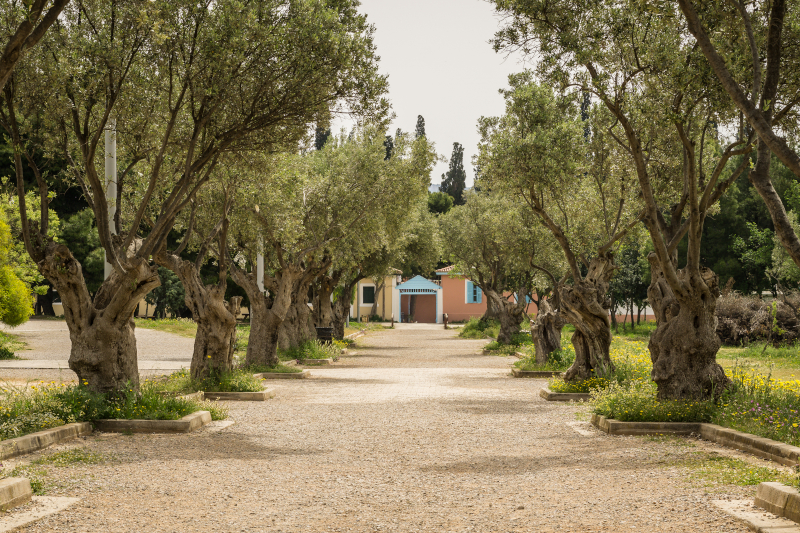 5+1 πάρκα εντός των τειχών της Αττικής για μια ανάσα πράσινου και βόλτα με αποστάσεις