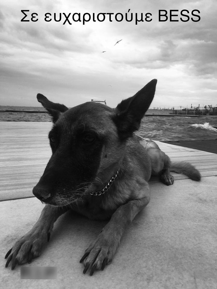 Η αστυνομική σκυλίτσα BESS