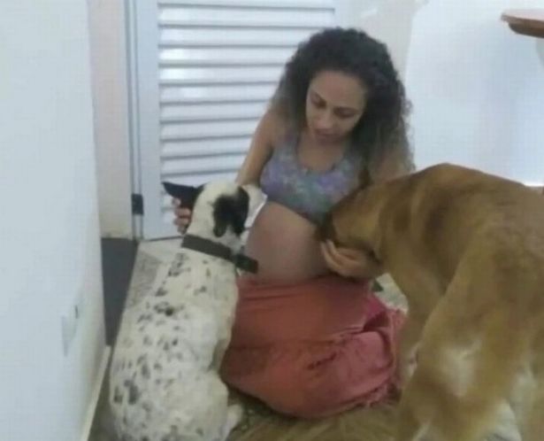 Η 29χρονη Ελέιν Νοβάις με τα σκυλιά της 