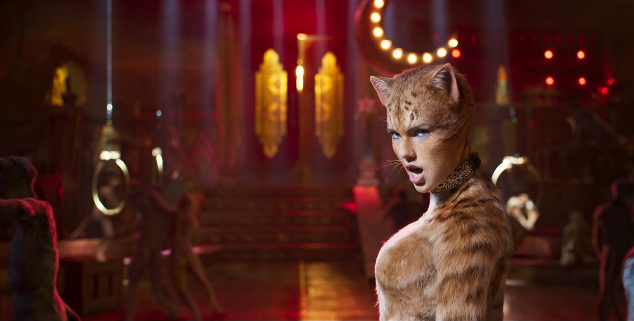 Cats