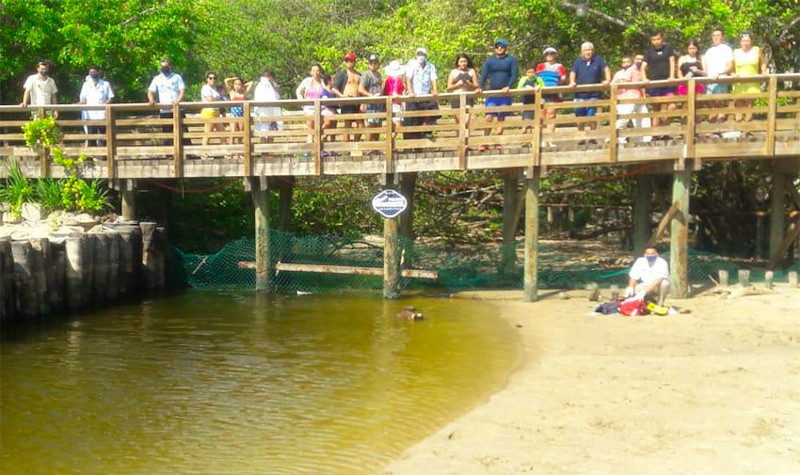 Διασώστης παρέχει τις πρώτες βοήθειες στο παιδί μετά την επίθεση του κροκόδειλου