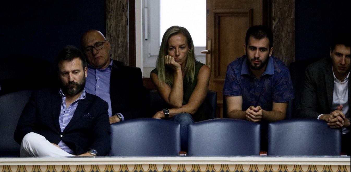 Δανάη Στράτου Βουλή