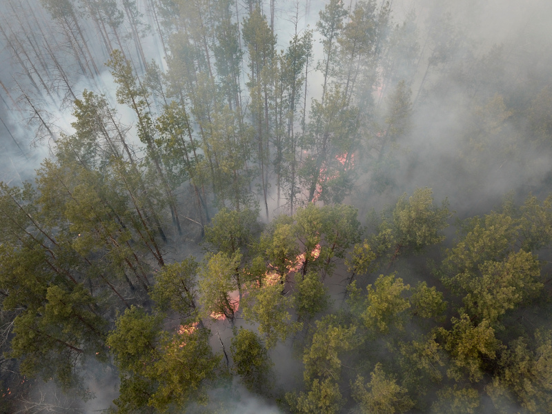 Η φωτιά που ξέσπασε σε δασική έκταση κοντά στο Τσερνόμπιλ