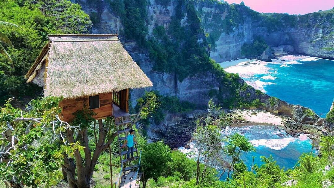 Υπάρχουν τρία δενδρόσπιτα περίπου όπως αυτό της εικόνας στην περιοχή / Φωτογραφία: AirBnB