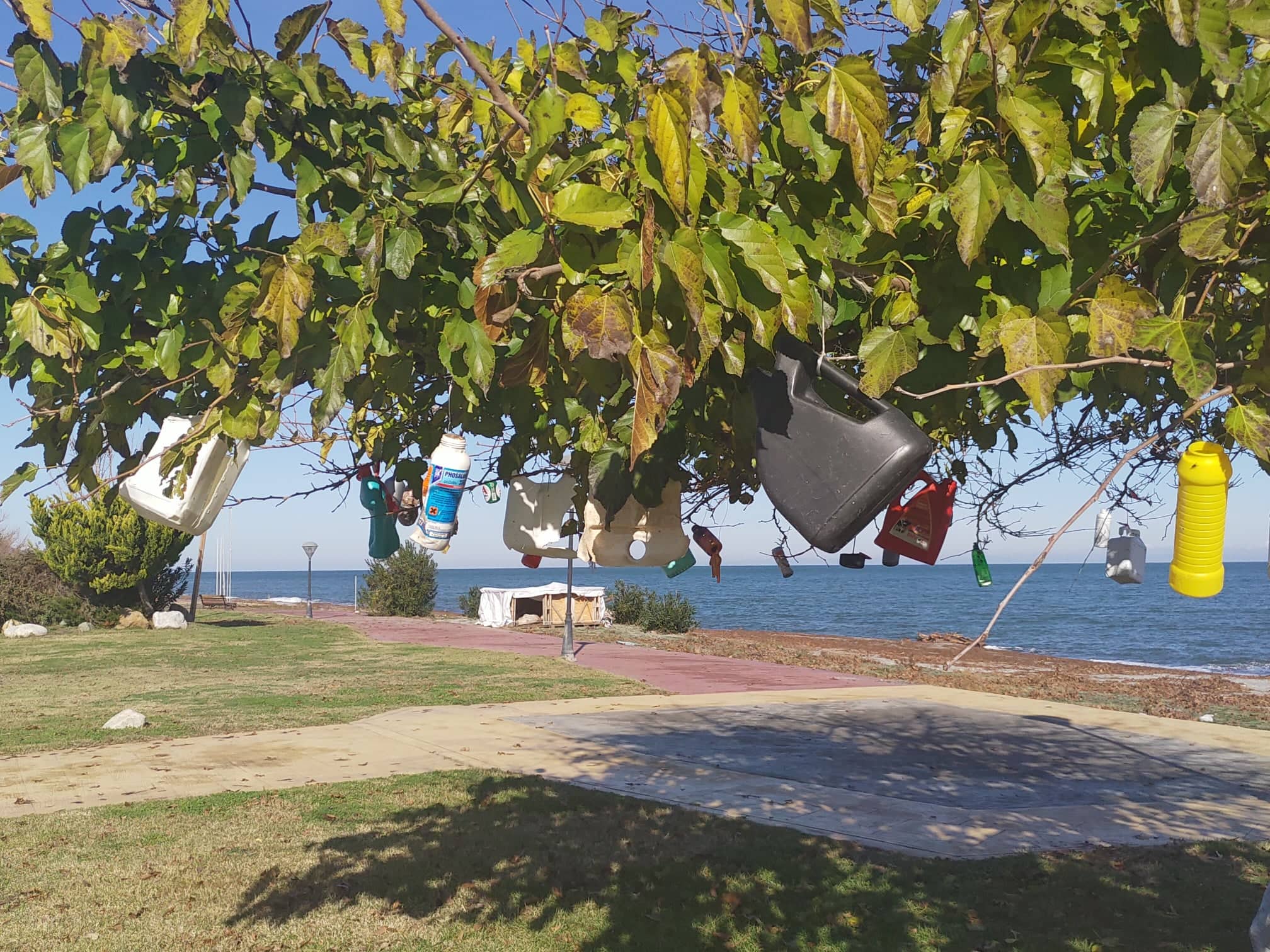 Μπουκάλια κρεμασμένα σε δέντρο