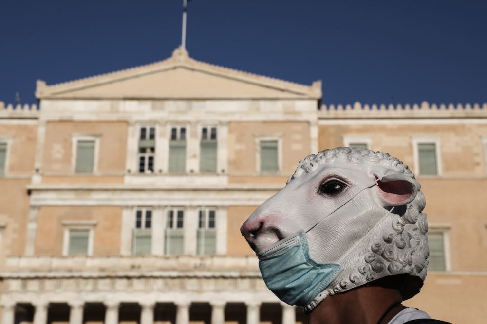 Ο διαδηλωτής φόρεσε προσωπείο προβάτου και πάνω από αυτή μια μάσκα μιας χρήσης / Φωτογραφία: George Vitsaras / SOOC