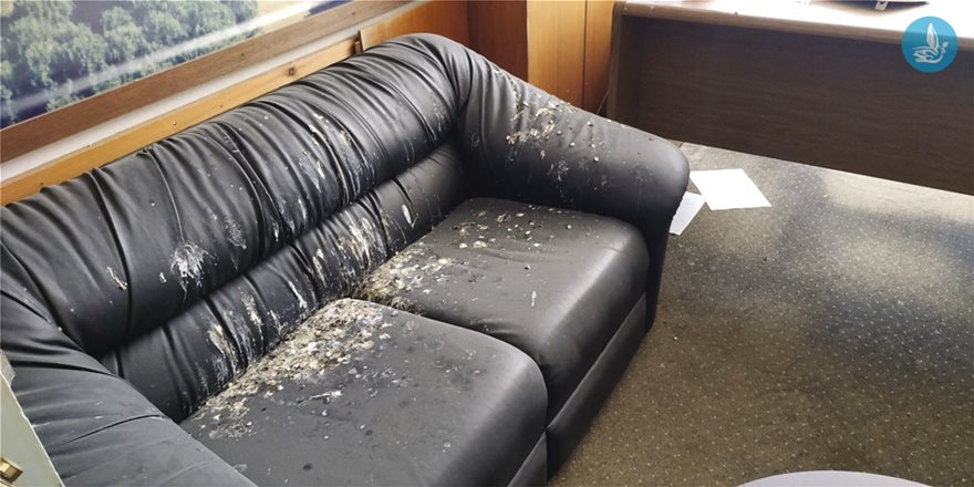 Ακαθαρσίες από πουλιά πάνω σε καναπέ του κτιρίου