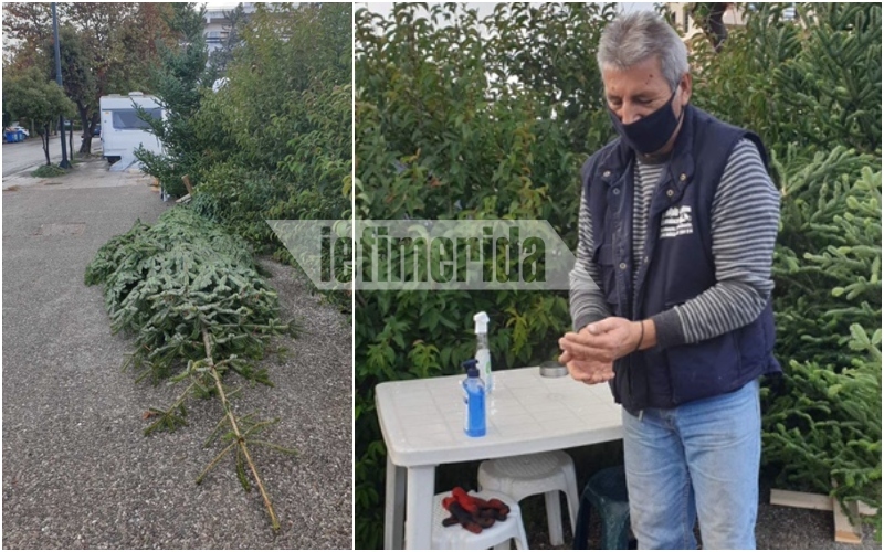 Εφτασαν στην Αθήνα τα πρώτα έλατα ενόψει των διαφορετικών φετινών Χριστουγέννων