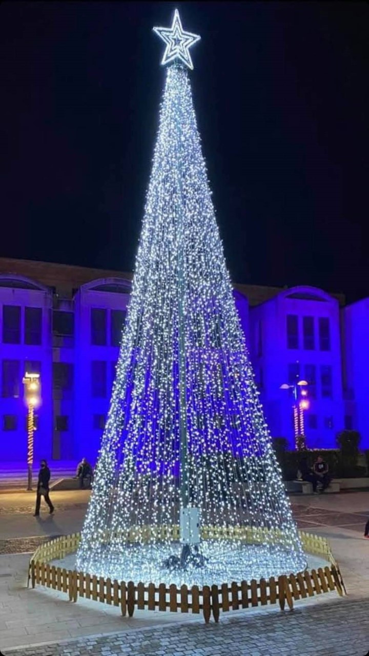 δεντρο