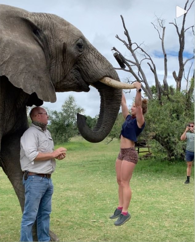 γυμνάστρια κάνει ασκήσεις πάνω στους χαυλιόδοντες ενός ελέφαντα