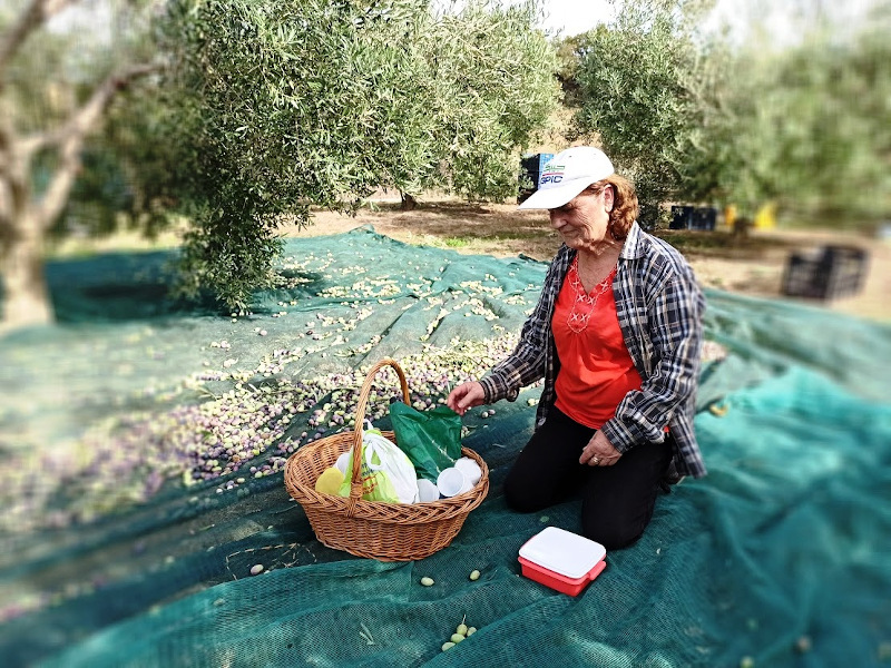 γυναικα καλάθι