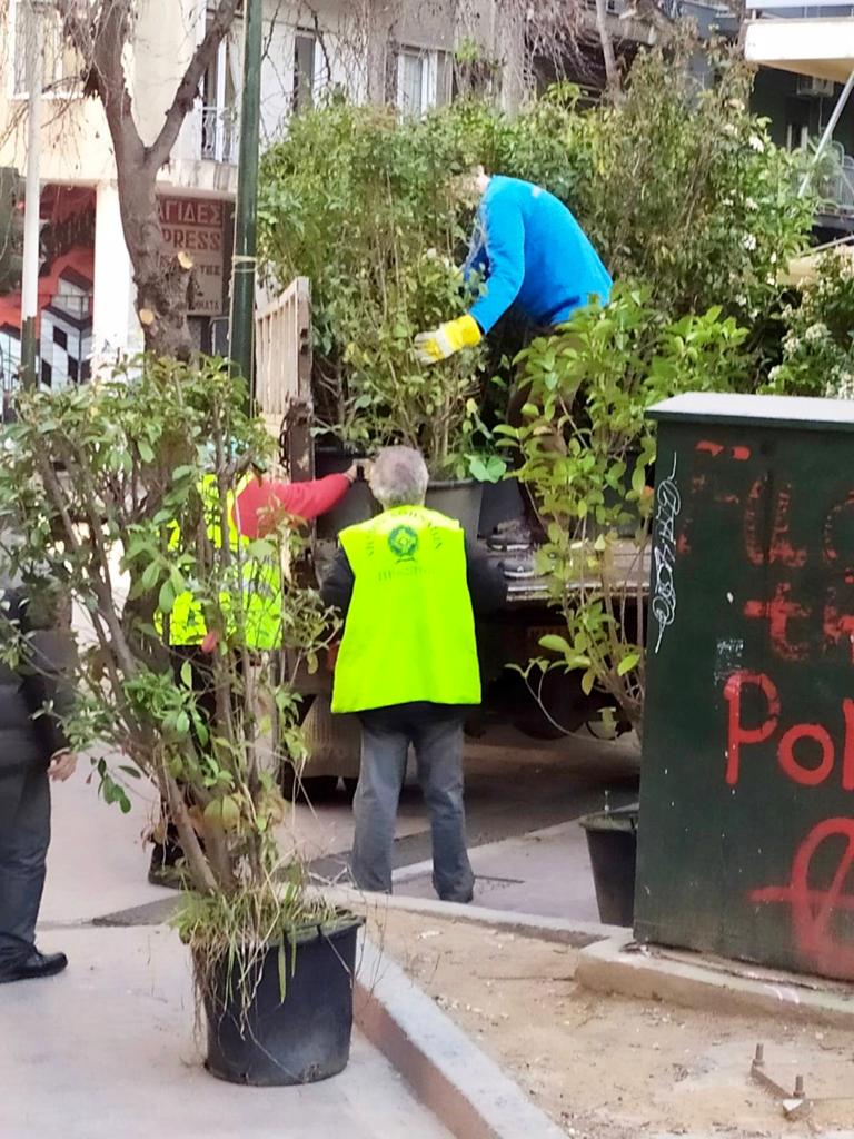 γλαστρες