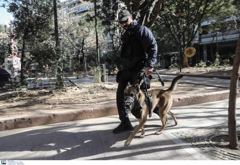 Αστυνομικός σκύλος σε περιπολία στην περιοχή των Εξαρχείων