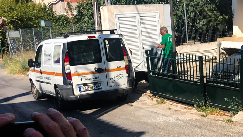 Η φιλοζωική απομάκρυνε το ροντβάιλερ από το σπίτι στα Γλυκά Νερά
