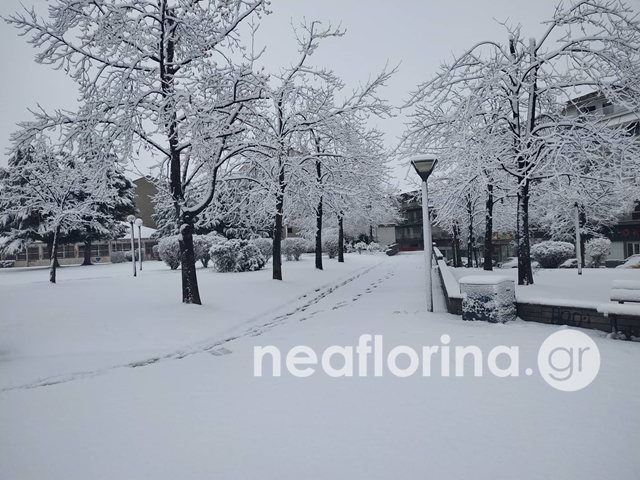 Χιονισμένο τοπίο στην Φλώρινα