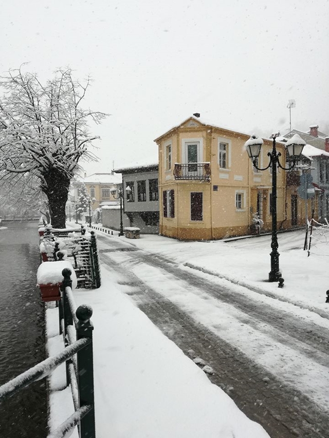 Χιονόπτωση σε δρόμο στην Φλώρινα