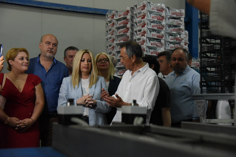 Η Φώφη Γεννηματά κατά την επίσκεψή της στο Διαλογητήριο Φρούτων Τσομλέκτσογλου στην Έδεσσα.