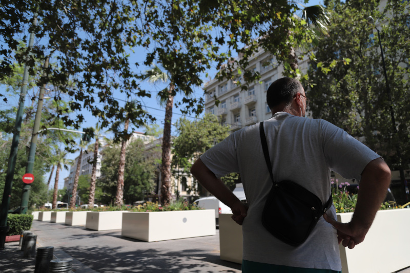 Φοίνικες στην Πανεπιστημίου