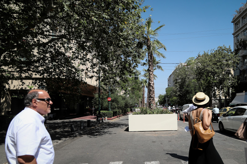 Φοίνικες τοποθετήθηκαν στην οδό Πανεπιστημίου στο κέντρο της Αθήνας