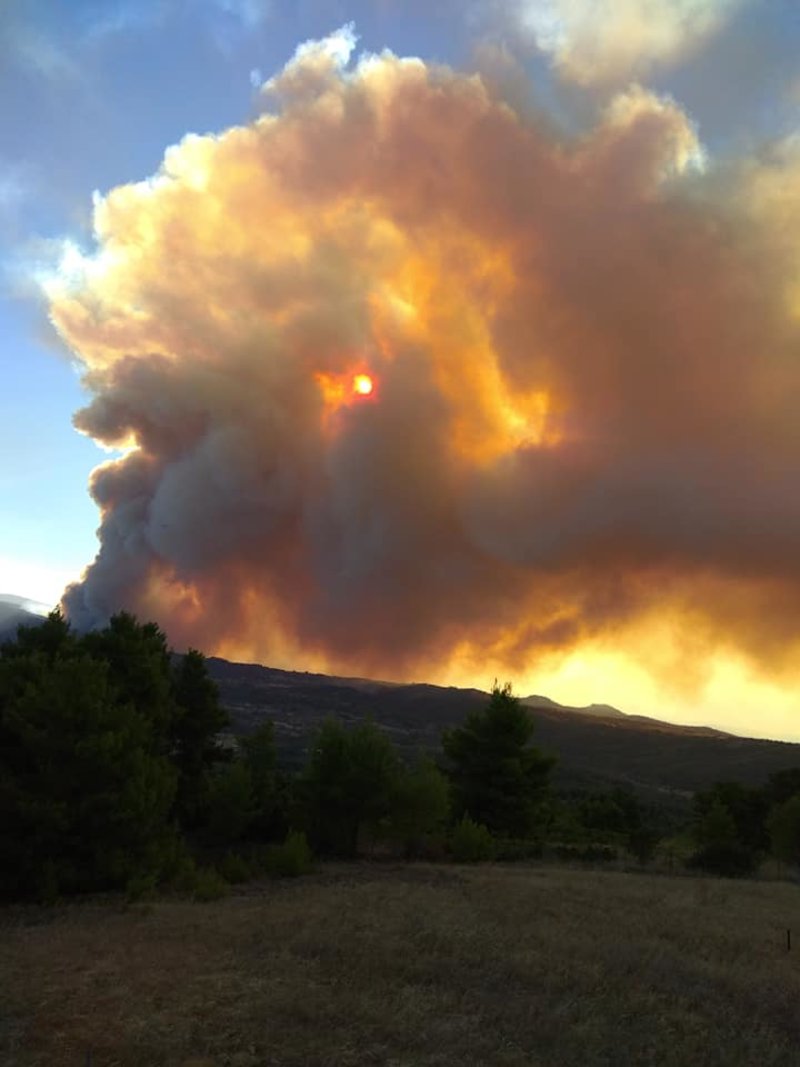 Καπνός πάνω από δάσος