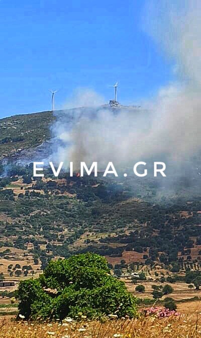 φωτιά Κάρυστος Εύβοιας