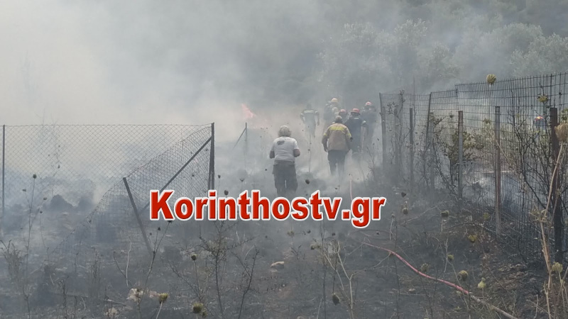 φωτιά στις Κεχριές Κορίνθου