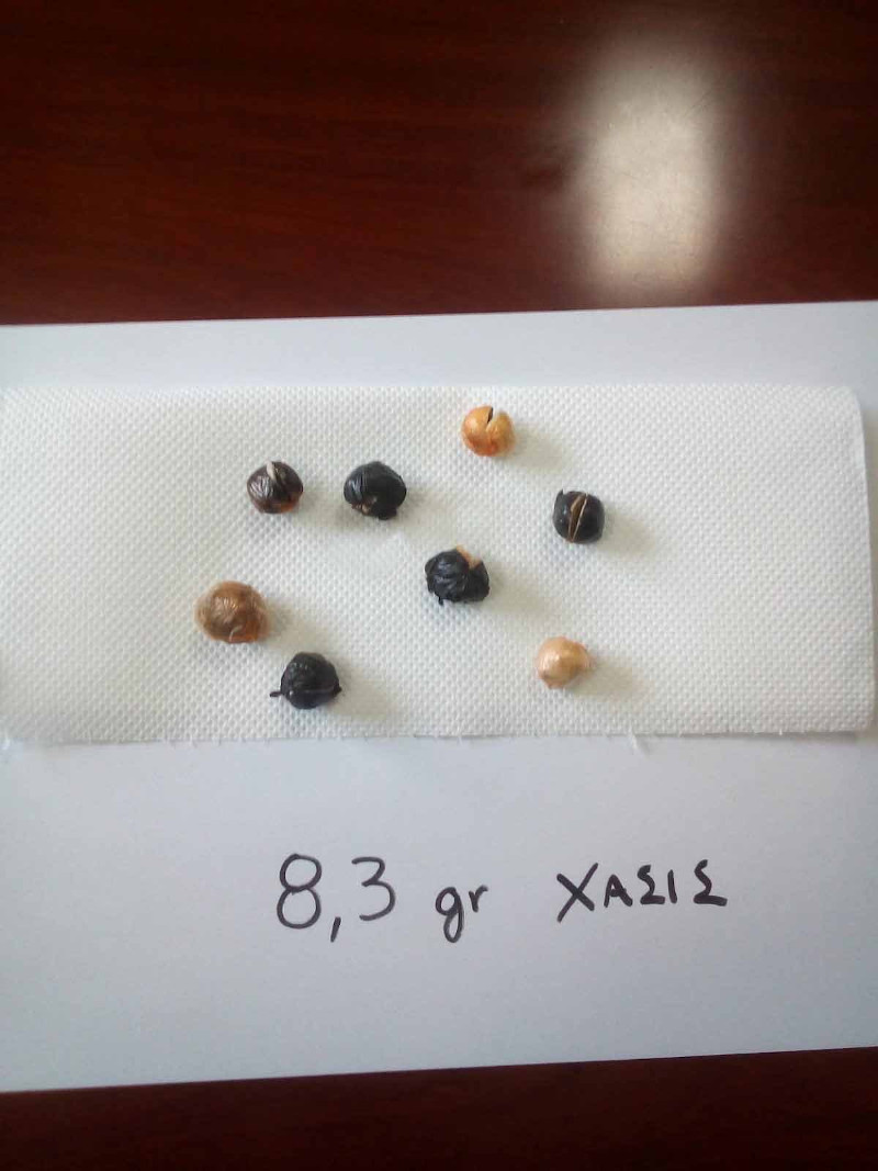 Έρευνες στο Κατάστημα Κράτησης Δομοκού