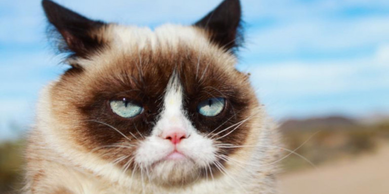 Η πρώτη και διάσημη Grumpy cat