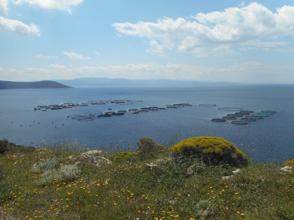 Η Ελλάδα μπαίνει στο χάρτη της υπεύθυνης υδατοκαλλιέργειας