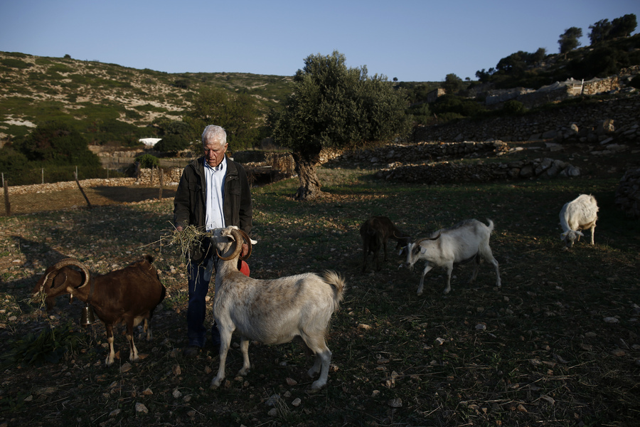 κατσικια