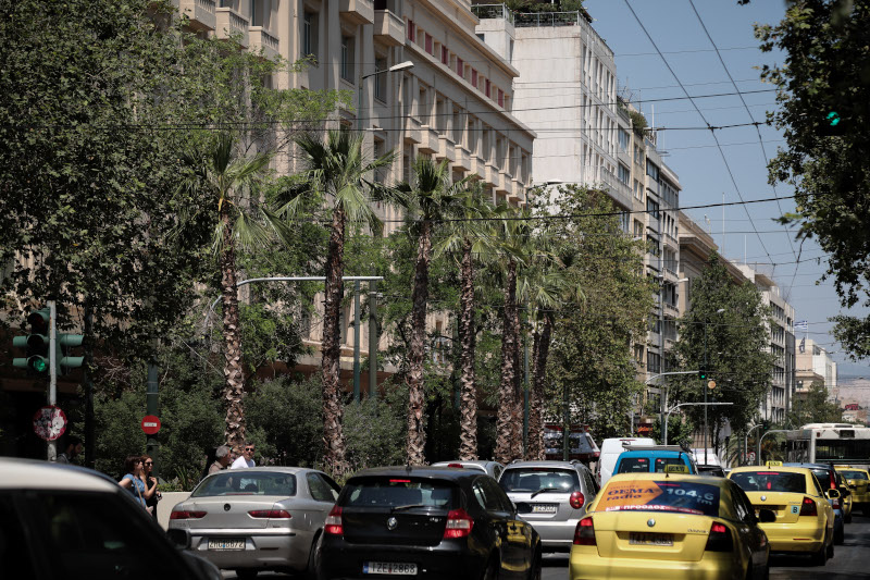Φοίνικες στην Πανεπιστημίου