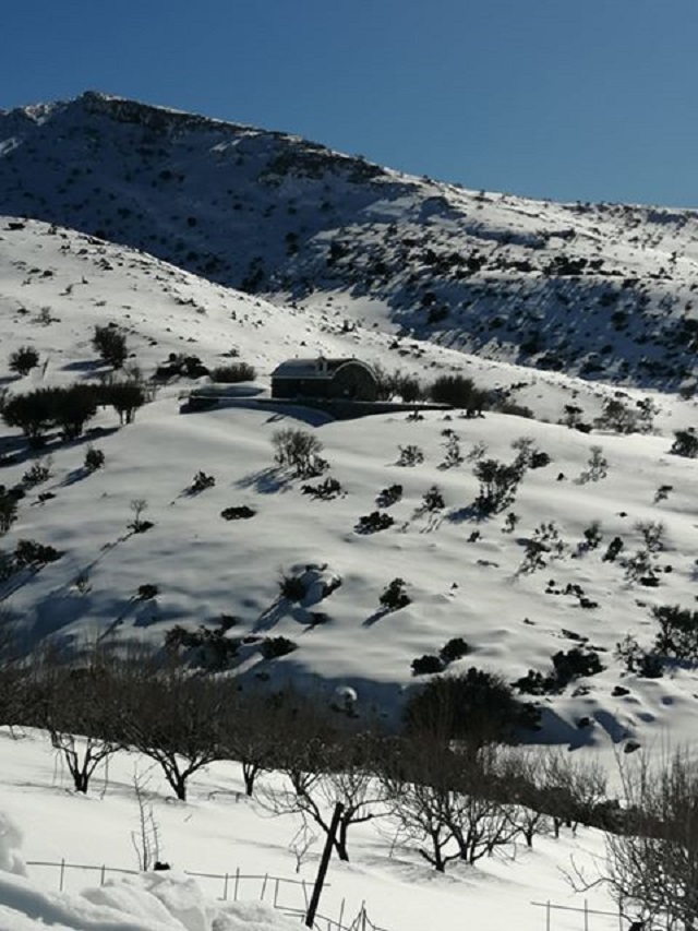 χιονια