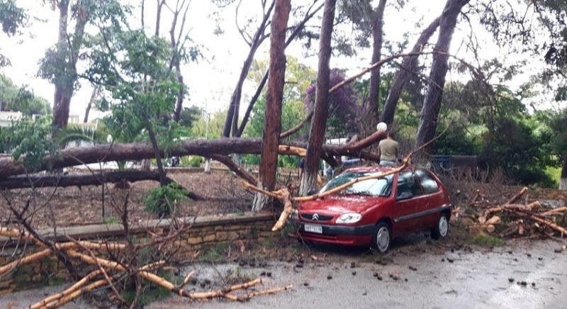 Πτώση δέντρων στη Λέρο