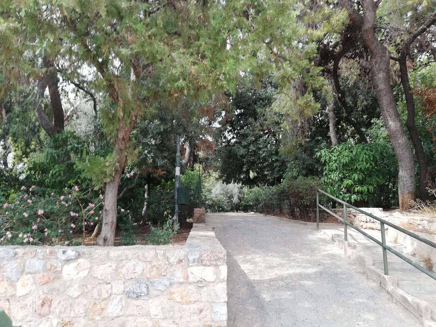 5+1 πάρκα εντός των τειχών της Αττικής για μια ανάσα πράσινου και βόλτα με αποστάσεις